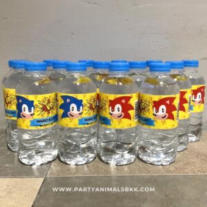 ปาร์ตี้วันเกิดลูก Private Kid Birthday Party - Sonic the Hedgehog Birthday Party