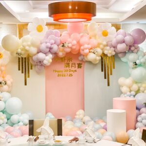 แบคดรอปลูกโป่ง ฉากลูกโป่ง Kid's Birthday Balloon Backdrop - Sweet pastel - Happy 30 Days Chinese Baby's Birthday