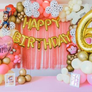 แบคดรอปลูกโป่ง ฉากลูกโป่ง Kid's Birthday Balloon Backdrop - PAW PATROL - Pink