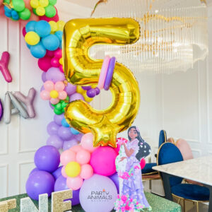 แบคดรอปลูกโป่ง ฉากลูกโป่ง Kid's Birthday Balloon Backdrop - Encanto - Multicolour