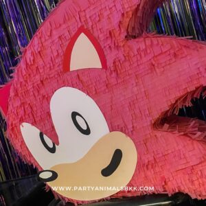 ปาร์ตี้วันเกิดลูก Private Kid Birthday Party - Sonic the Hedgehog Birthday Party