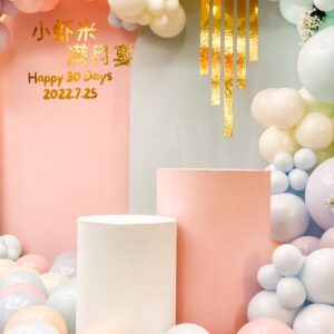 แบคดรอปลูกโป่ง ฉากลูกโป่ง Kid's Birthday Balloon Backdrop - Sweet pastel - Happy 30 Days Chinese Baby's Birthday