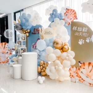 แบคดรอปลูกโป่ง ฉากลูกโป่ง Kid's Birthday Balloon Backdrop - Little Tiger Happy 30 Days Chinese Baby Birthday