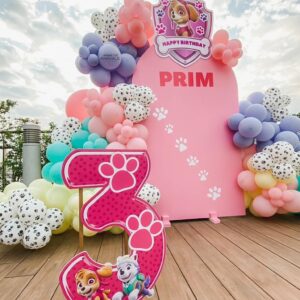 แบคดรอปลูกโป่ง ฉากลูกโป่ง Kid's Birthday Balloon Backdrop -Prim turns 3 Skye Paw Petrol Party